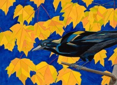 /userimg/JQPmL/Diana Roper McDowell, 'Crow in the Maple Tree'.jpg